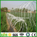 China Factory Supply Galvanized Razor/Barbed wire